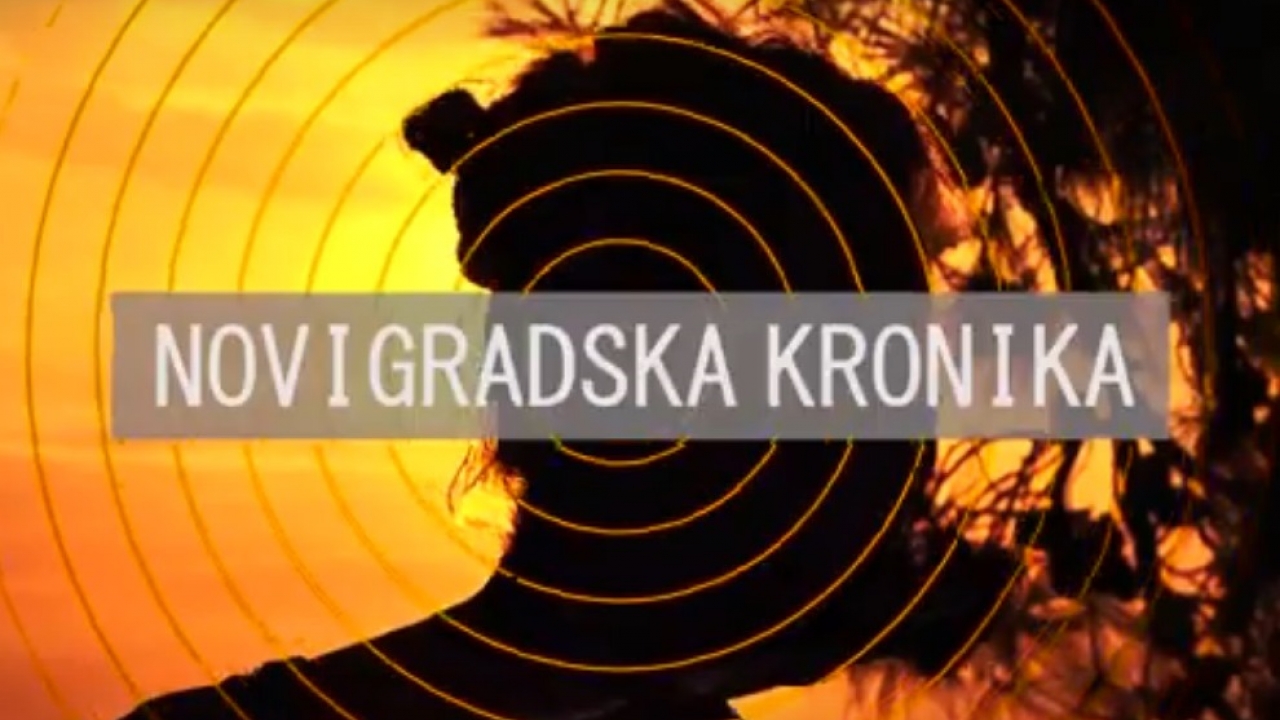 Novigradska kronika / studeni 2024.