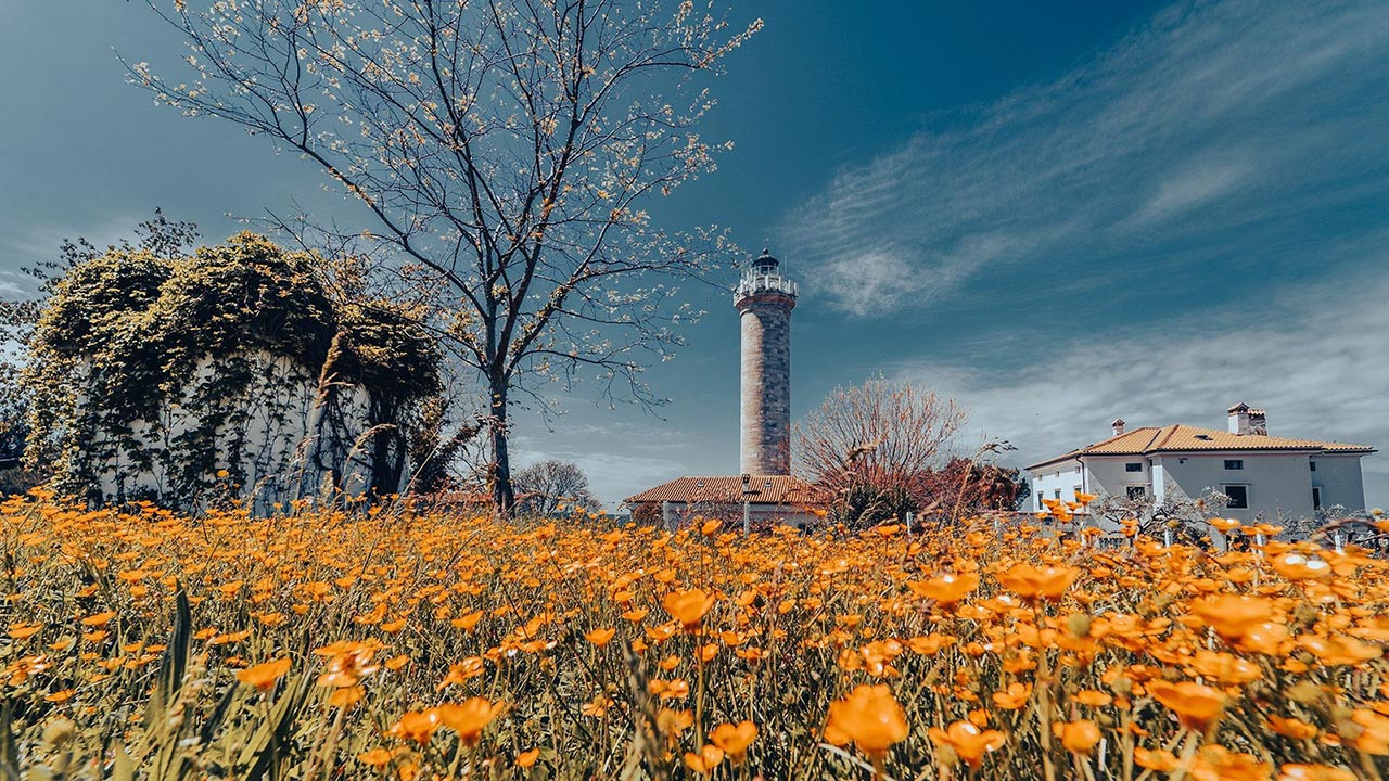 Pošaljite svoje fotografije za Kalendar Grada Umaga 2025!