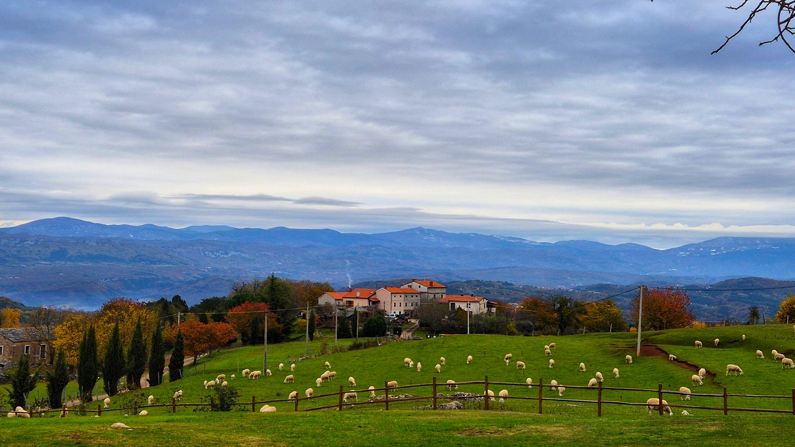 Od Pietrapelose do Zrenja povijesnim cestama i kroz šume pitomih kestena