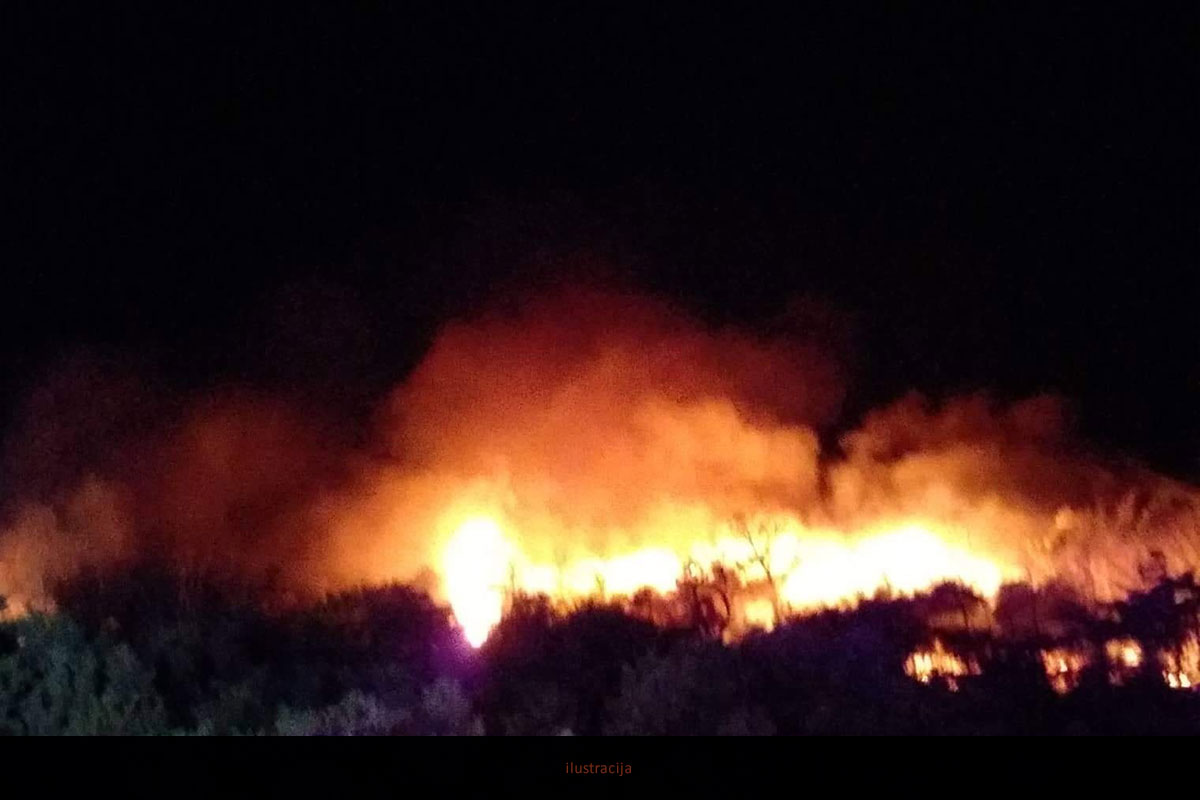 Požar u Marčani brzo lokaliziran, izgorjelo 15 hektara raslinja i maslinika