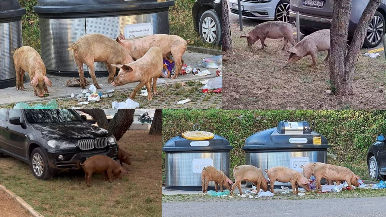 Prema ispovijesti mještanke u Červar Portu je alarmantna situacija